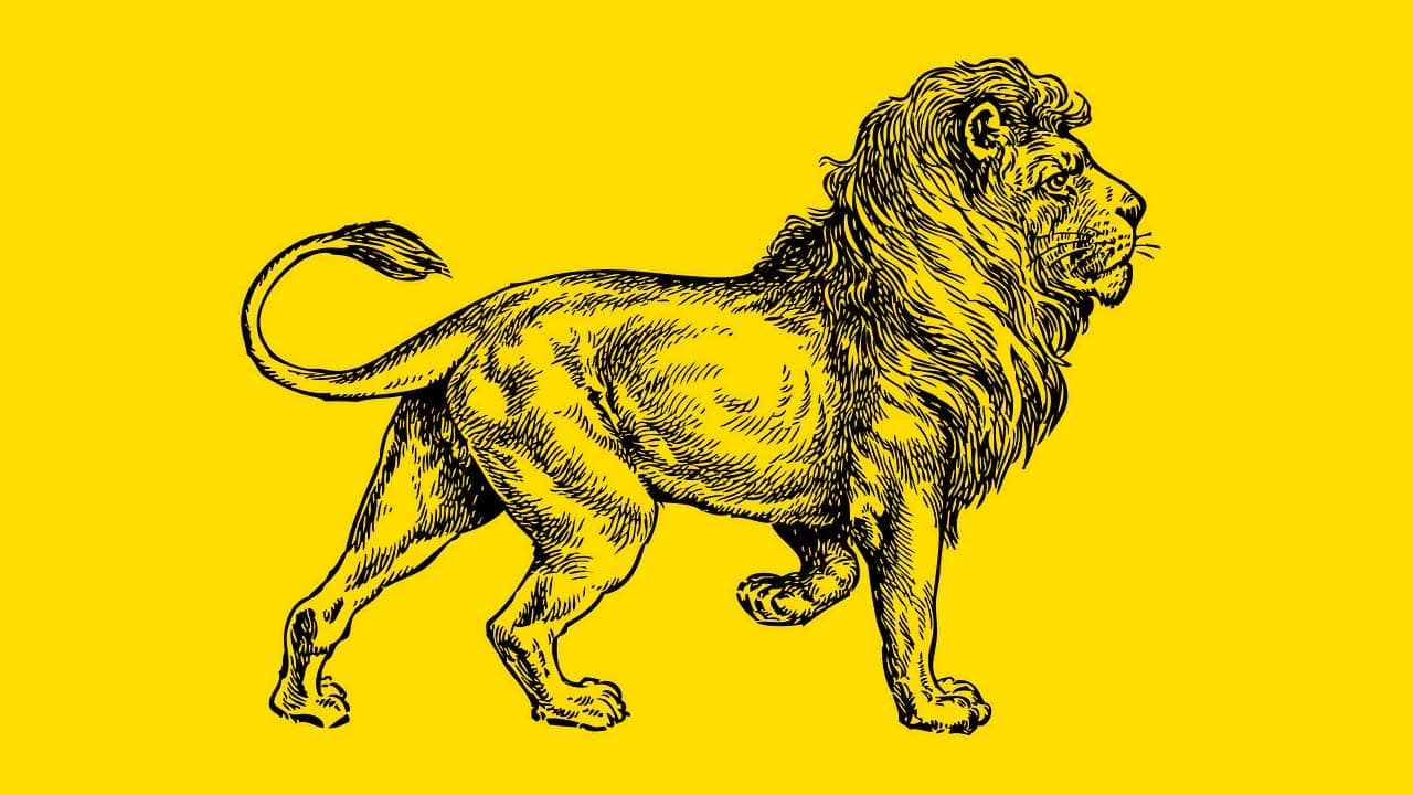 Cuando el león elige, la estrategia gana